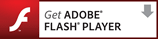 下载 Adobe Flash Player
